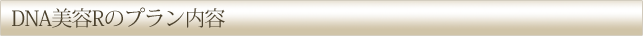 DNA美容Rのプラン内容