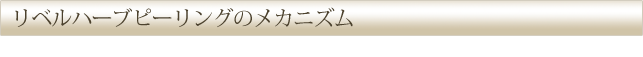 リベルハーブピーリングのメカニズム