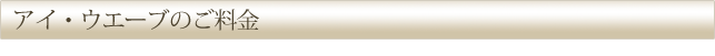 アイ・ウエーブのご料金